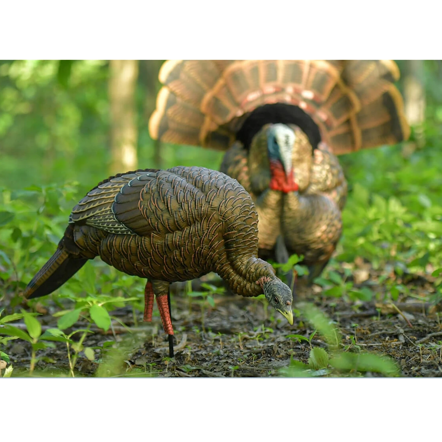 Avian-X Turkey Decoy HDR Hen Feeding AVX8107 - Image 2