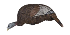 Flextone Thunder Chick Feeder Turkey Decoy FLXDY314