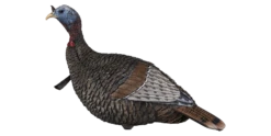 Flextone Thunder Jake Turkey Decoy FLXDY317