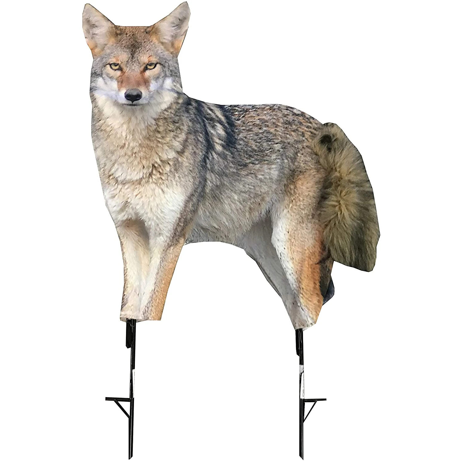 Montana Decoy Company Song Dog Coyote Decoy 0079