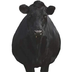 Montana Decoy Company Bessie Moo Cow 0081