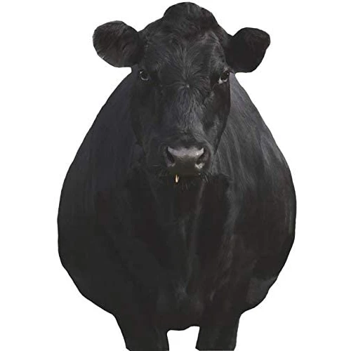 Montana Decoy Company Bessie Moo Cow 0081