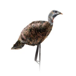 Montana Decoy Company Turkey Miss Purrfect XD Hen 0084